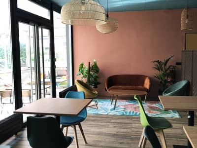 Un coworking jungle