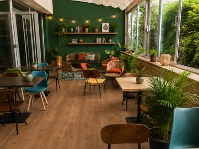 Un coworking jungle