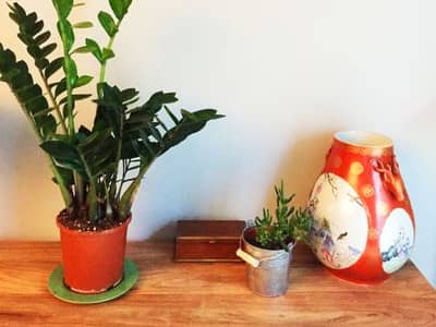 Décoration